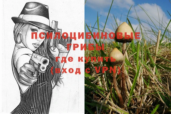 MESCALINE Гусь-Хрустальный