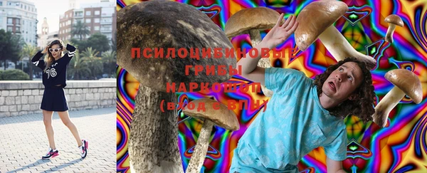 меф VHQ Дмитриев