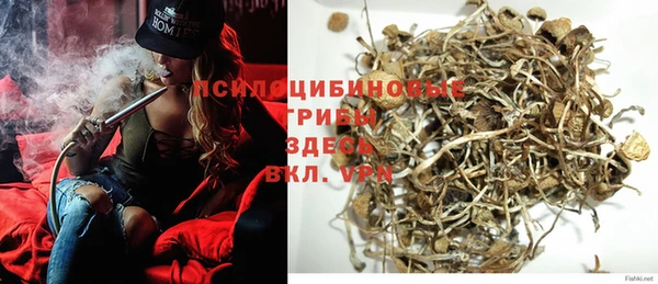 MESCALINE Гусь-Хрустальный