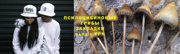 MESCALINE Гусь-Хрустальный
