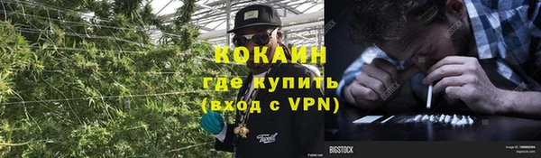 MESCALINE Гусь-Хрустальный
